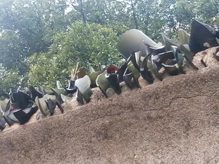 Underground Tunnel and Bunker Tours