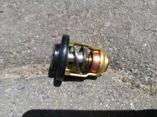 Thermostats for Yamaha two and four strokes