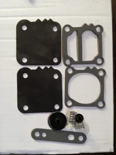 Carb and Fuel Pump Service Kits- most models