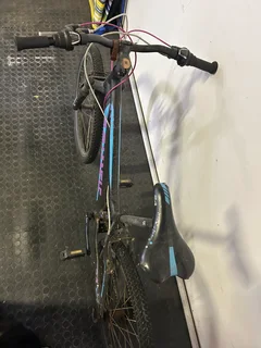 Avalanche Cosmic 24”