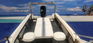 DORADO 16.6 ON TRAILER 90 HP MERCURY TRIM AND TILT