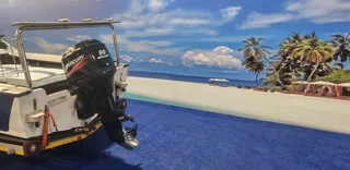 DORADO 16.6 ON TRAILER 90 HP MERCURY TRIM AND TILT