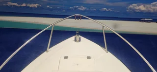 DORADO 16.6 ON TRAILER 90 HP MERCURY TRIM AND TILT