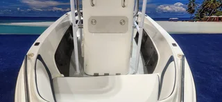 EXPLORER 540 CC ON TRAILER 2 X 60 HP YAMAHA 4 STROKES