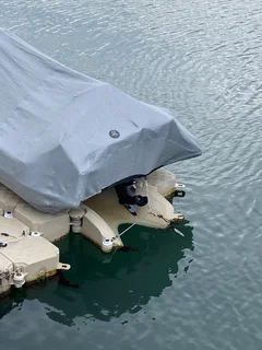 Dock - floating dock with boat slide