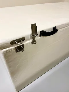 Cooler/Ice box - insulated