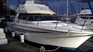 30ft Ace Craft Sports Fisher Huge  Reduction Or Make An Offer