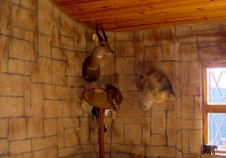 D-I-Y Garden and Home Rock Features. Stap-vir-Stap instruksies op video. Word n advertensie vennoot.