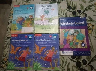 Primary School Text books Maths English and Zulu