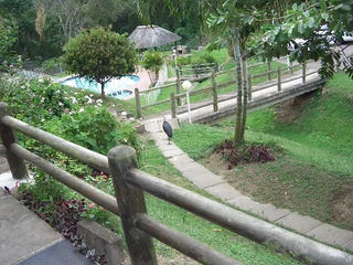 1 Bed simplex in Bellair, in a well managed complex near nature reserve