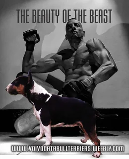 Personal Trainer ONLY