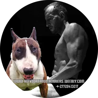 Personal Trainer ONLY