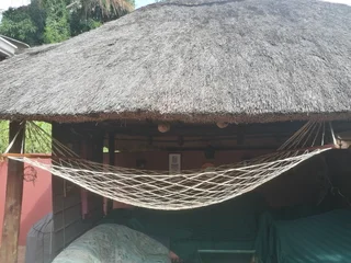 Hammock - Ad posted by butterflye