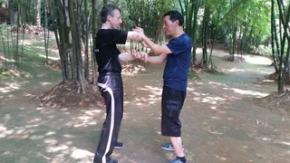 Wing Chun Kung Fu - Ip Man Wing Chun - Samuel Kwok Wing Chun South Africa