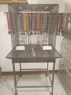 Parrot cages