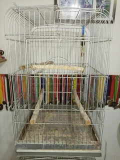 Parrot cages