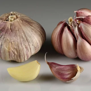 GARLIC CAPSULES