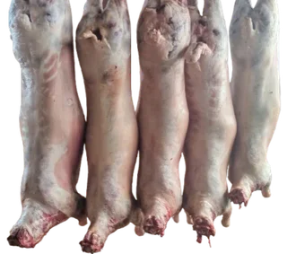 Cattle sheep and goats