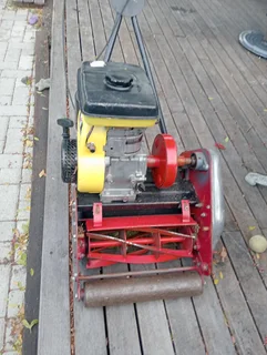 Lawnmower Professional Cylinder with Robin Engine