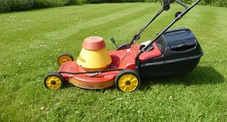 Lawnmower Wolf Electric