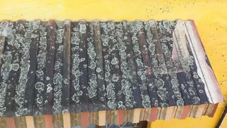 Cleaning of Blinds and Awnings