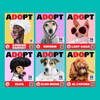 GRAPHIC DESIGNER- INNOVATIVE • RELIABLE • FREELANCE • CONTRACT