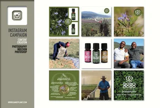 SOCIAL MEDIA STARTUP PACKAGES