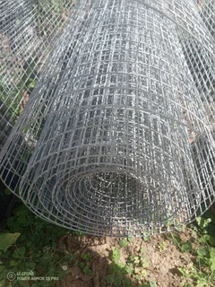 Mesh for birds