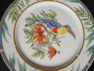 Japanese fine China. Paradise Collection of Toucans. Perfect condition