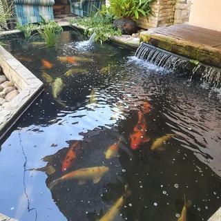 FURNISHED STUDIO GARDEN APARTMENT WITH POOL/DSTV/WI-FI