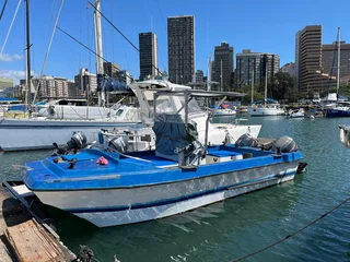 VCat double hull Boat with Mooring