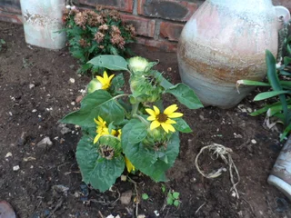 Newton park office space