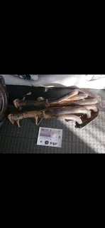 Toyota Landcruiser 79 series 1GR Exhaust manifold lhs Rhs