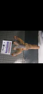 Opel Corsa 1.4 6w Exhaust manifold