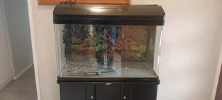 Fish tank