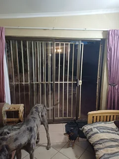 Bachelor Flat to let