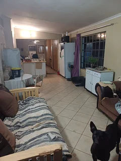 Bachelor Flat to let