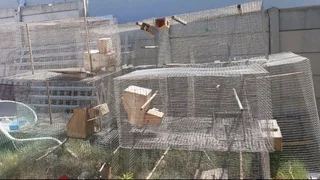 Hanging breeding cages