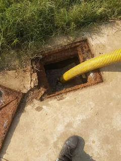 Septic Tank - Honey Sucker