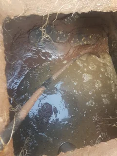 Septic Tank - Honey Sucker