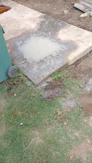 Honey Sucker Vacuum Truck for hire. Pooh Patrol