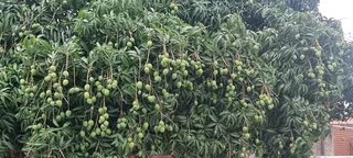 Commercial premises to let in Chatsworth