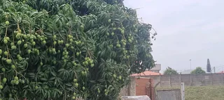 Commercial premises to let in Chatsworth