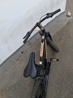 Bicycle Kids Avalanche and Mongoose