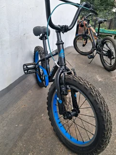 Bicycle Kids Avalanche and Mongoose