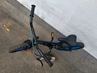 Bicycle Kids Avalanche and Mongoose