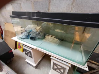 Large Fish Tank with all acessories