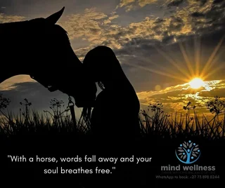 Equine Therapy Sessions and Counselling in Brackenfell Cape Town