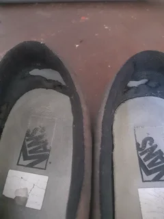Vans shoes