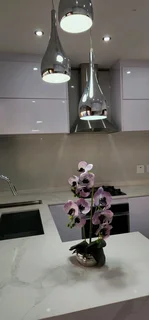 Kitchen and bedroom cupboards